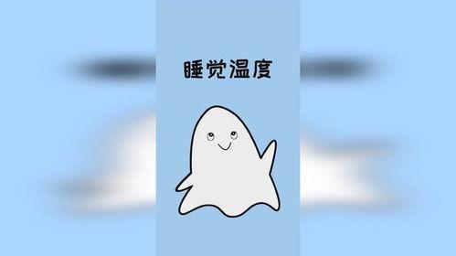 暖被窝的图片,冬日里的温馨守护，家的温暖瞬间呈现”